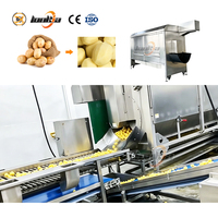 Industriële wortelschilmachine, aardappelenschilmachine, aardappelverwerkingsmachine, schilmachine voor paarse yam, groenten en fruit.