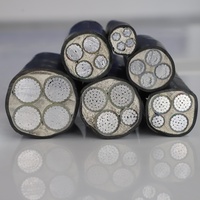 Kunden spezifisches Xlpe Pvc-isoliertes massives gepanzertes Aluminium kabel 3-phasig 3 4 5-adrig 50mm ² 70mm ² 95mm ² Stromkabel YJLV-Stromkabel