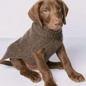 Suéter OEM de lana pura de Merino y Cachemira para perro, suéter de lujo para mujer, tejido con cable personalizado para mascotas pequeñas y gatos, Alpaca - Product Image 4