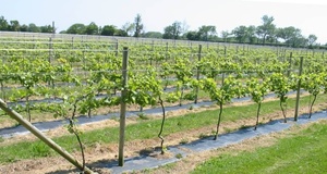 Dễ Dàng Vận Hành Cửa Sổ Prefab Bê Tông Lõi Rỗng Lintel Máy Đúc Sẵn Dầm Dầm Khuôn Trụ Cột Máy Làm - Product Image 5