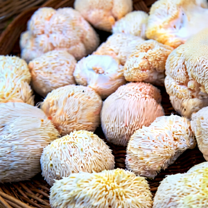 Poudre de champignon Crinière de lion de qualité supérieure, superaliment naturel pour le soutien cognitif, la mémoire, la concentration, la clarté mentale, la santé des nerfs et du système immunitaire - Product Image 1