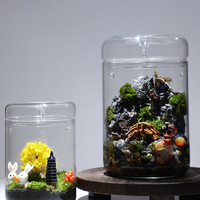 Accessoires de décoration pour la maison, pot en verre pour table, planteur artisanal en verre transparent pour plantes hydroponiques, vase en verre avec couvercle en verre