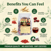 Sachets de thé santé au ginseng Cinq Trésors, directement de l'usine, 100% pur, haute qualité, 30 unités, faible MOQ, mélanges personnalisés, énergie naturelle et vitalité