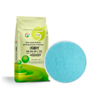 Precio de fábrica oligoelemento azul 100% Planta de solubilidad en agua Fertilizante NPK 19 19 19 fertilizante utilizado como fertilizante en aerosol - Product Image 1