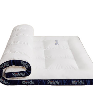 Starhotel Waterproof Antibacterial Mattress <b>Pad</b> 1.0m Quilted Polyester Home Hotel Use - Product Image 1