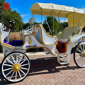 Caleches Touristique Cheval Européen Dessiné Charrettes Wagon Transport Citrouille Mariage Calèche Électrique - Product Image 3