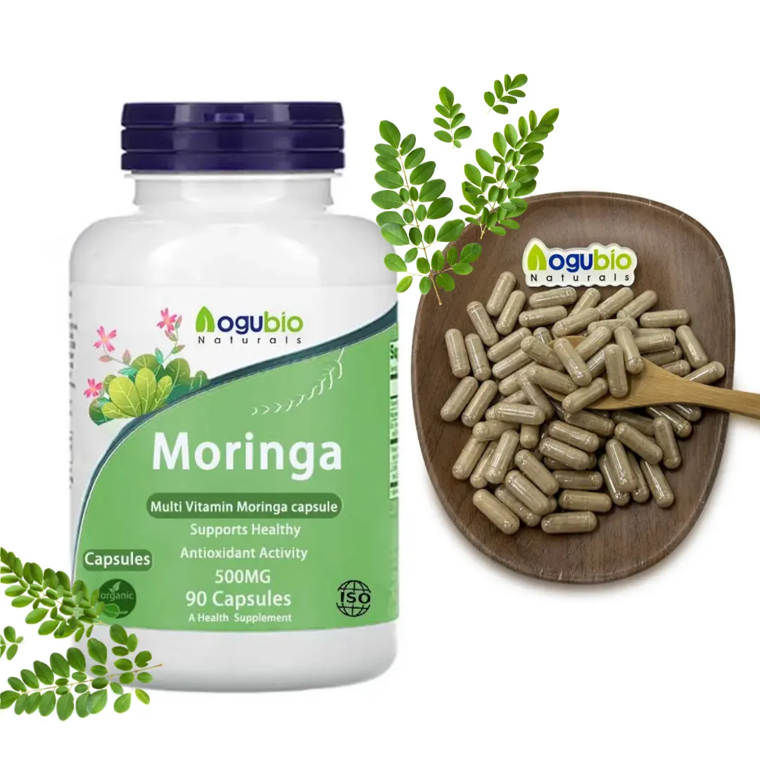 Aogubio OEM Moringa порошок moringa капсулы органические индивидуальные этикетки Moringa порошок в капсулах