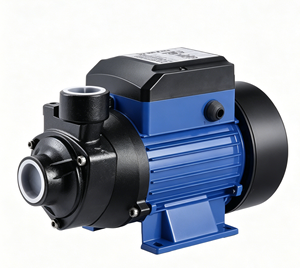 <span class=keywords><strong>Pompe</strong></span> à <span class=keywords><strong>eau</strong></span> auto-amorçante à vortex pour pipeline photovoltaïque DC12, haute puissance, haut débit, modèle BDQB - Product Image 3