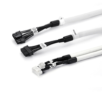 Conjunto de Arnés de Adquisición de Voltaje BMS con Funda Trenzada Blanca, Etiquetado B+ B- T+, Multipin, para Muestreo de Paquetes de Baterías de Litio OEM