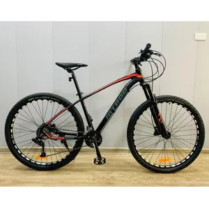 29 Inch Aluminum Alloy Frame for Men Single 10 Speed Hot Selling Factory Manufacturing MTB