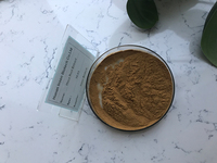 Distributeur directe de Maca, racine en extracteur