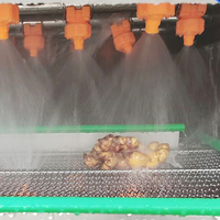 Lonkia Fabriek Aangepaste Productie Industriële Gember Verwerkingslijn Verse Gember Wasmachine