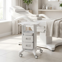 Chariot de rangement pour équipement de salon de beauté, chariot de rangement pour clinique dentaire et hôpital, chariot de rangement pour salon de massage