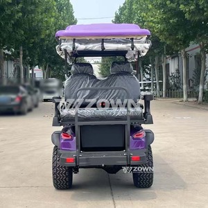 Voiturette de golf électrique à toit ouvert avec pare-brise réglable multi-angles et configuration de sièges personnalisée pour parcs de loisirs et clubs de golf privés - Product Image 6