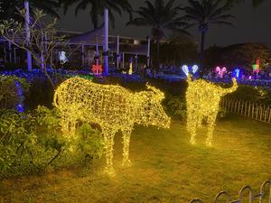 Holiday Decorative Animal <strong>Motif</strong> Rope Light LED Customized <strong>Tiger</strong> Rabbit Buffalo Light Festival - Product Image 4