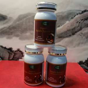 Frete Grátis 3 Frascos de Extrato Orgânico de Cogumelo Reishi em Pó 3 Tipos 30% Polissacarídeo Cultivo Artificial - Product Image 5