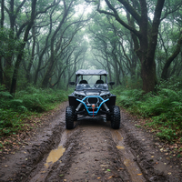 Quad tout-terrain haute performance pour adultes, certifié EPA, 1000 cm³, SSV 4x4, moteur V-Twin EFI, transmission automatique, 2WD/4WD commutable, alimenté au gaz