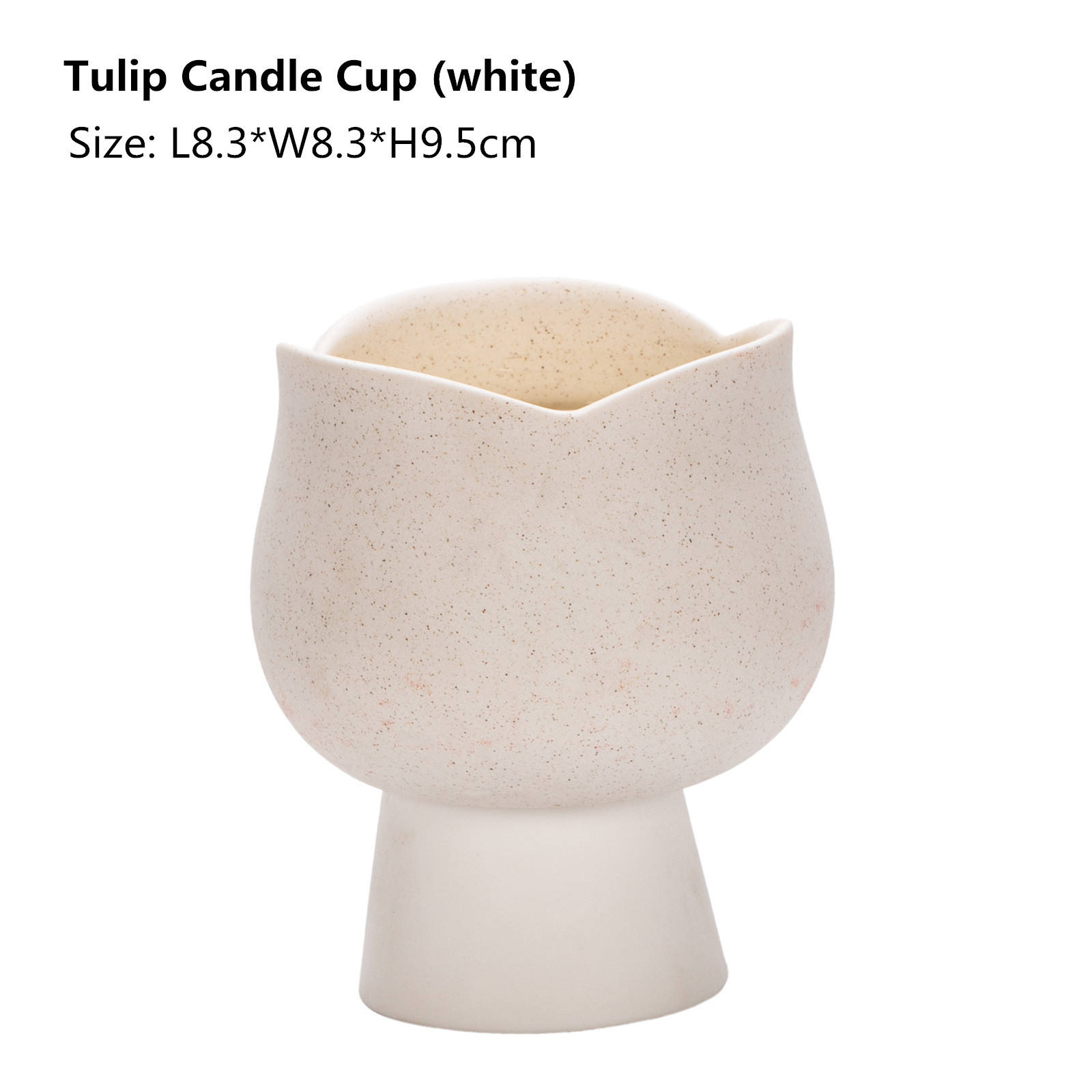 Tulip -white