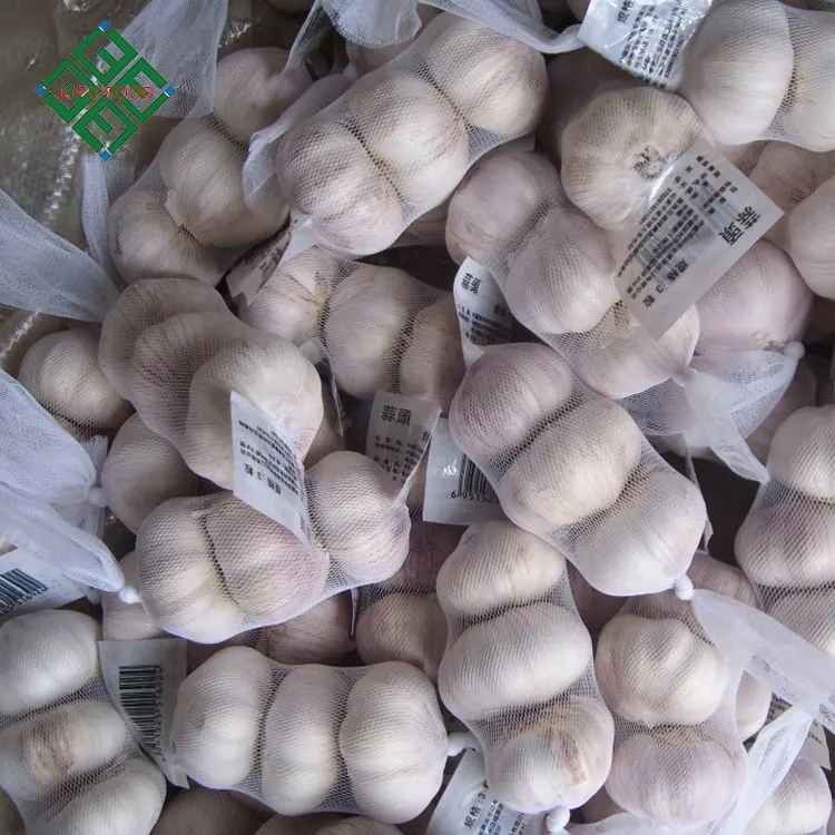 alho fresco Factory Pure White Fresh Garlic Price/ bulk garlic for sale/ garlic from China