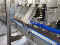 Machine de remplissage d'eau à haute efficacité de 5 gallons, très appréciée, approuvée CE, équipement de remplissage automatique pour les usines de boissons commerciales