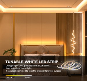 Super Bright CCT Adjustable White Light 2700K to 6500K SMD2835 240LEDs/M 12mm Wide LED Flexible Strip - Product Image 5