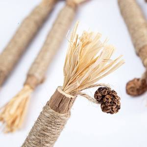 Nuevo Juguete Clásico Duradero <span class=keywords><strong>para</strong></span> <span class=keywords><strong>Gatos</strong></span>: Madera, Matatabi, Pluma, Insecto, Fruta, Rafia, Hierba, Palo Molar, Juguete Masticable <span class=keywords><strong>para</strong></span> Autoentretenimiento de Mascotas - Product Image 3