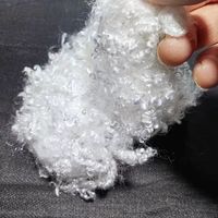 Fibre de polyester recyclée à 100 % de haute qualité, 3D 7D 15D HCS, siliconée, ignifuge, creuse et conjuguée, pour rembourrage
