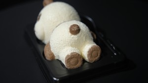 Mini Pastel de Mousse de Queso y Crema con Chocolate en Forma de Oso, con Frutas, Congelado, Certificado Halal, Dulce y de Alta Calidad - Product Image 6