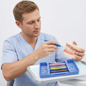 Kit de 7 Piezas de Instrumentos Dentales para Rellenos de Composite, Herramientas Restauradoras con Mango de Silicona de Colores y Estuche para Dentistas - Product Image 6