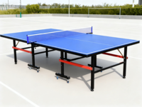 Table de tennis de table d'entraînement extérieure de 15 mm, pliable, imperméable, directement de l'usine, meilleure offre