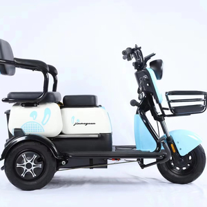 Triciclo Eléctrico de Tres Ruedas de Alta Calidad y Bajo Precio, Bicicleta Eléctrica de 3 Ruedas para Adultos, 48V 60V 800W, para Familias - Product Image 1