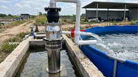 Pompe submersible à grand débit en acier inoxydable, immergée dans l'huile, 5,5 kW, sortie 200 mm, pour drainage des étangs de crevettes et des bassins en toile
