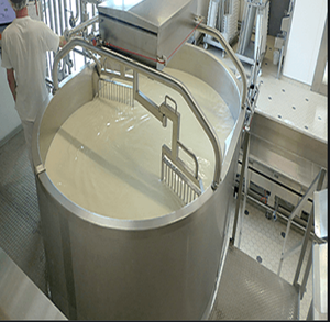 อุปกรณ์ทำชีส/อุปกรณ์ทำชีสคุณภาพสูง/สายการผลิตชีส - Product Image 5