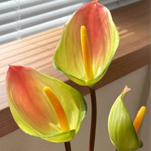 Alocasia artificielle rouge haut de gamme, toucher doux en caoutchouc, Anthurium minimaliste pour arrangement floral de salon, décoration intérieure - Product Image 4