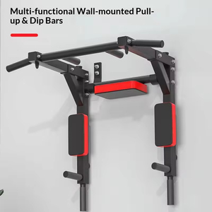 Attrezzatura Fitness Pieghevole per Casa, Barra Doppia da Parete per Trazioni e Supporto per Sacco da Boxe - Product Image 1