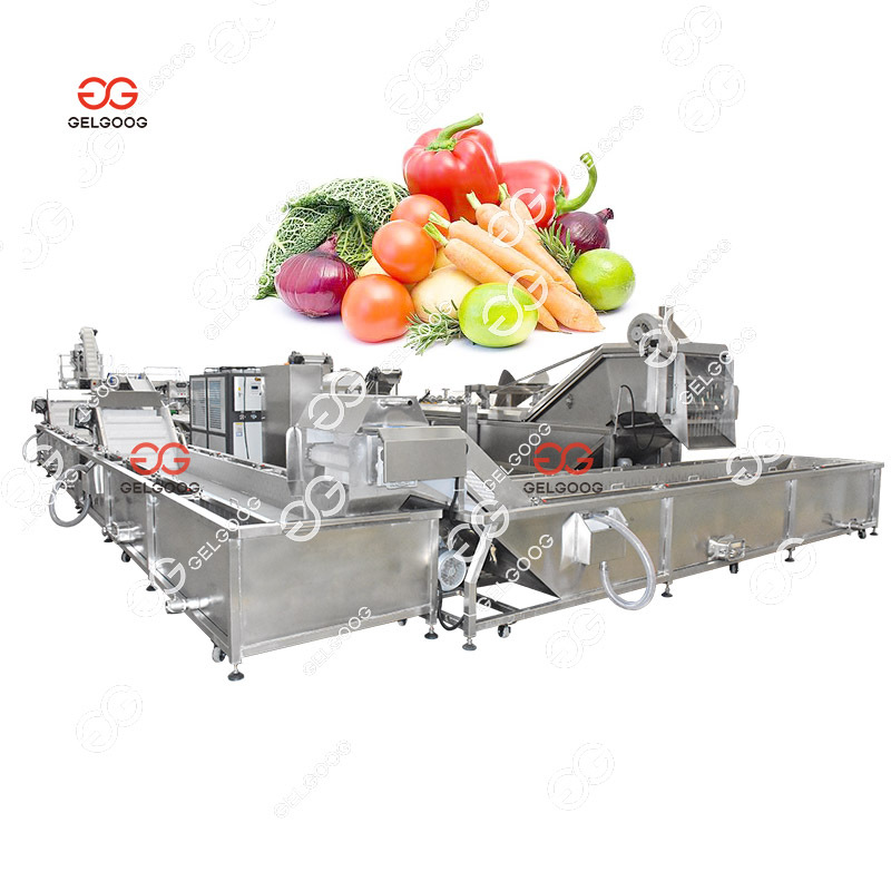 Commercial Kaong Chicory Spices Washing and