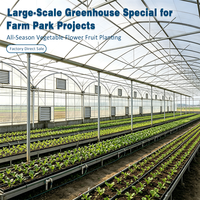 Serre à Grande Portée, Serre Agricole Multi-Span
