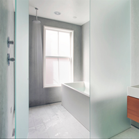 DAIYA porte de douche à charnière murale en nickel brossé