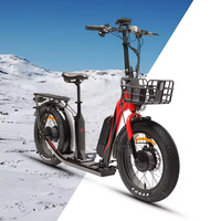 Gran oferta, monopatín eléctrico de buje delantero/trasero sin escobillas de 48V/250W, batería de 13AH, Motor Bafang, potentes frenos de disco hidráulicos