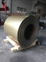 Bobine d'acier revêtue d'une couche dorée pour les panneaux d'appareils électroménagers