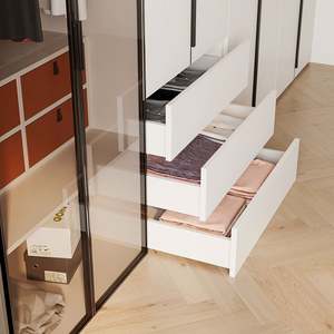 Santopova Stylish <b>Light</b> - Colored Closet with Glass Panels, Multi - Functional Storage & <b>Vanity</b> Area, Home Decor - Product Image 5