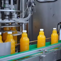 Industriële multifunctionele sap- en jammachine met 304 roestvrijstalen tandwielen en lagers, sapverwerkingslijn