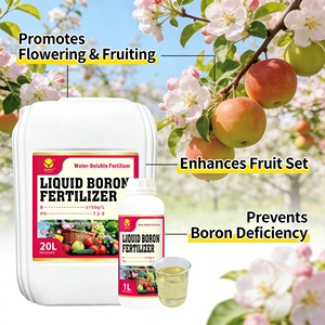 <span class=keywords><strong>ปุ๋ย</strong></span>เหลวโบรอนออร์แกนิกสำหรับพืชเกษตร ป้องกันดอกหลุด ช่วยเพิ่มผลผลิต ขนาด 1 ลิตร/20 ลิตร/1000 ลิตร ลดราคาจากโรงงาน - Product Image 5