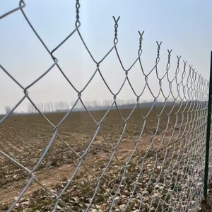 Xuất hiện hiện đại mạ kẽm Chuỗi liên kết hàng rào lưới thép bảo trì thấp cho các lĩnh vực thể thao hàng rào lưới mắt cáo & Cổng - Product Image 5