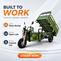 Tricycle électrique certifié CEE, capacité de charge de 585 kg, caisse de chargement de 1600 mm, autonomie de 60 à 80 km, tricycle électrique homologué pour l'Europe, autonomie de 45 km