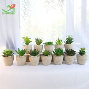 Fábrica de alta calidad pulpa en maceta <span class=keywords><strong>plantas</strong></span> suculentas <span class=keywords><strong>artificiales</strong></span> Mini planta suculenta decorativa para la decoración de la Mesa de la oficina en casa - Product Image 4