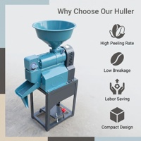 Machine à décortiquer les grains de café à haut rendement, en acier inoxydable, capacité 100 kg/h, efficace pour éliminer la peau de café séché