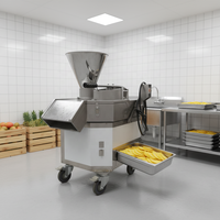 Fabrieks prijs, hete aanbieding: komkommer-, ananas-, aardappel-, wortel- en papaya-snijmachine, grote parallelle fruit snijmachine