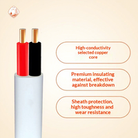 Kabel Listrik CE 2/3 Inti Twin & Earth 1-6mm Kabel Pemanas Berisolasi PVC Pipih Terlilit