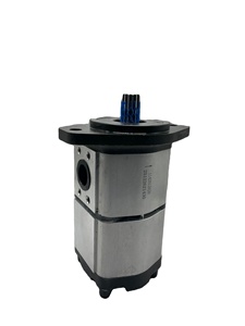 Équipement d'ingénierie Pièces mécaniques 1142012020 Pompe à engrenages - Product Image 4